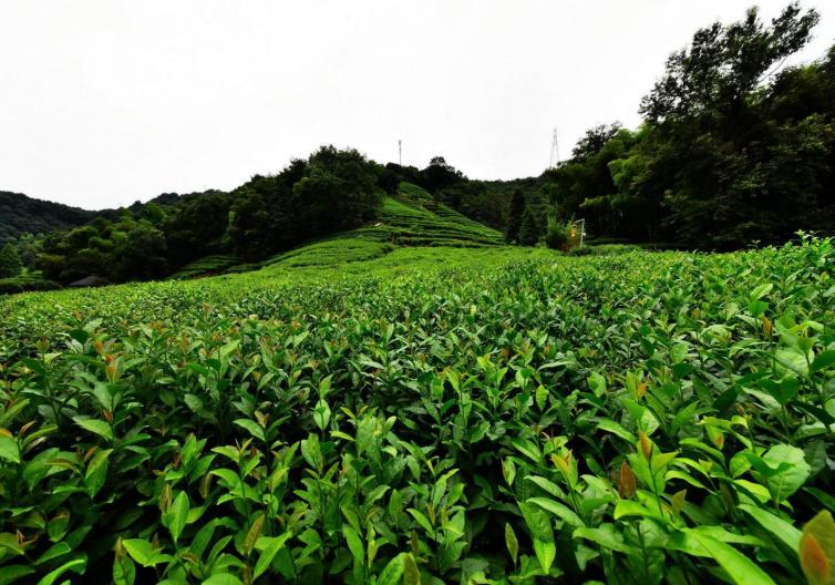 周末上海周边一、二日自驾游去哪里好玩？5条上海出发周边小众自驾游线路详细旅游攻略