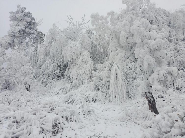 冬天贵州周边自驾游8个滑雪好去处推荐，贵州适合带孩子去滑雪的目的地攻略