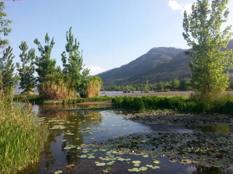 冬天成都周边自驾游去哪里好玩，4条成都出发沿途美景大汇合自驾游路线推荐