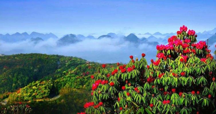 毕节周边4个自驾游景点最值得一去，毕节出发自驾游最棒景点攻略推荐