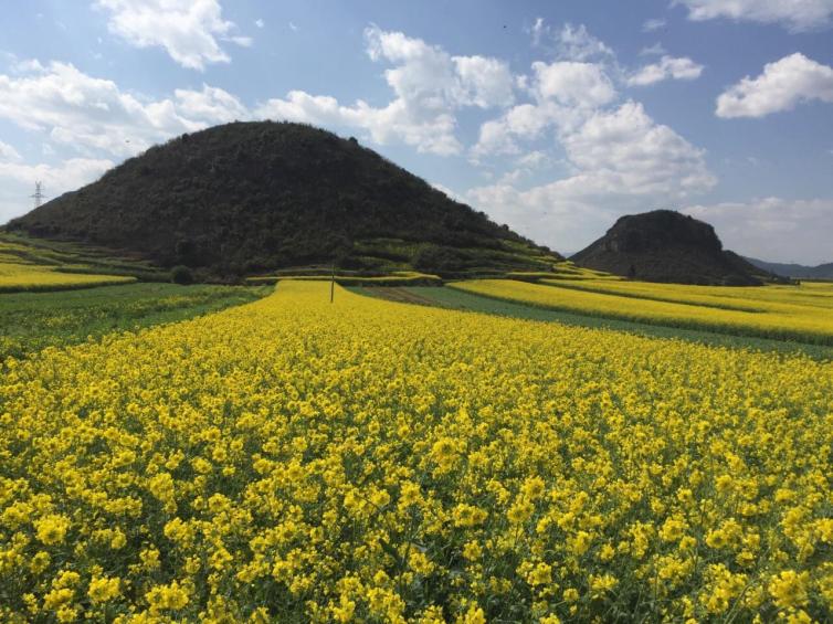 国内自春天国内自驾游最美的的胜景推荐，最美的季节不要错过最美的风景