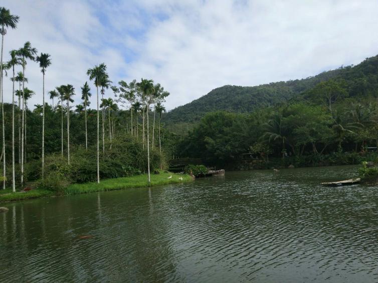 周末海南自驾游最佳景点线路推荐，海南适合周末出行的自驾游好去处