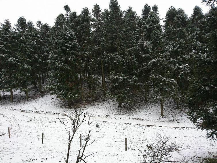 冬天重庆适合自驾游的景点推荐，开启重庆深冬自驾游赏雪之旅吧