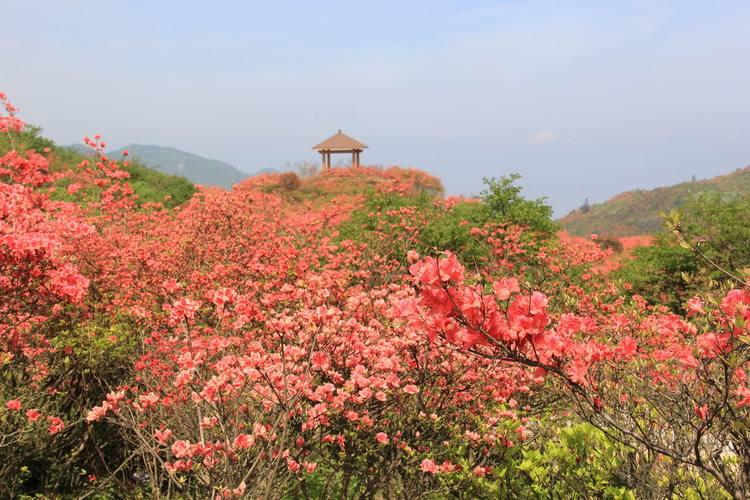 浏阳周边2日自驾游好去处推荐，有趣的浏阳自驾游目的地推荐