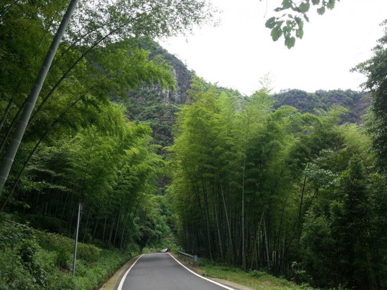 清明重庆周边自驾游寻最美春色、美食的好去处，重庆周边自驾游好玩景点推荐