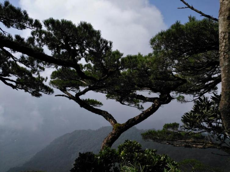 海南自驾游必去景点线路推荐，这5条自驾路线简直美到爆