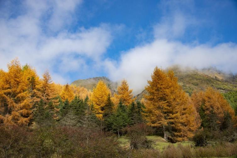 秋天四川自驾游最佳景点推荐，四川最美的景点都在这里