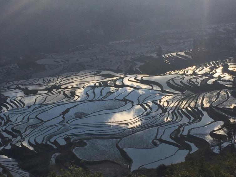 1月国内自驾值得一去的景点推荐，对的时间看到对的风景