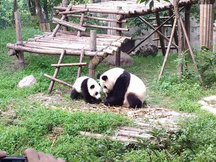 成都自驾游最佳时间及好玩景点详细攻略，想去成都自驾游的朋友值得收藏