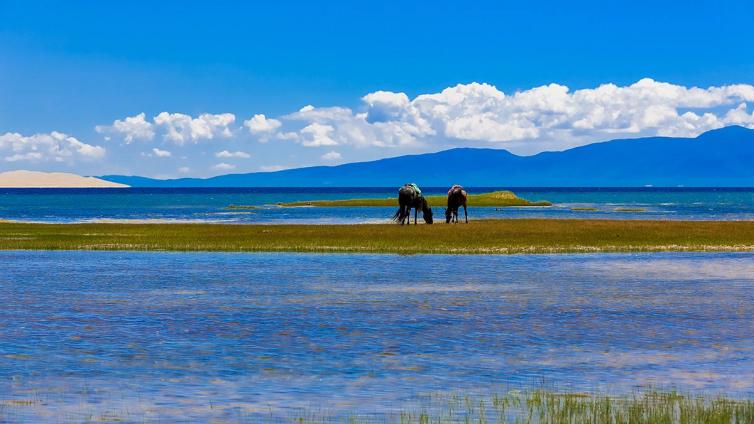 6-8月青海景色最美的7个自驾游景点攻略推荐，暑假青海自驾游去哪好玩