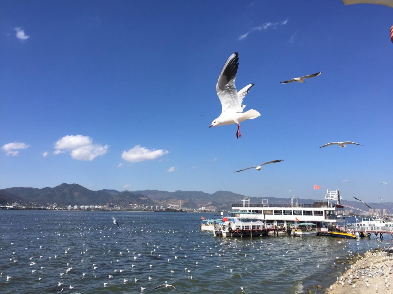 春节最火的东南亚出国自驾游路线，昆曼公路横穿中老泰三国