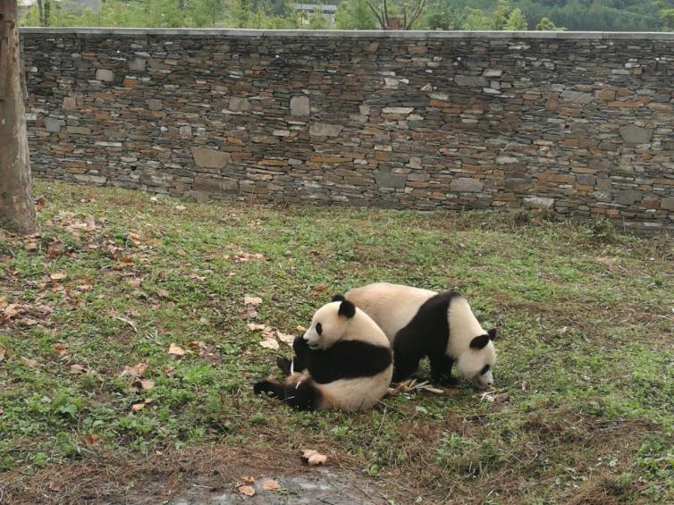 成都周边7个冷门自驾游目的地推荐，秋天成都风景极美的好去处攻略