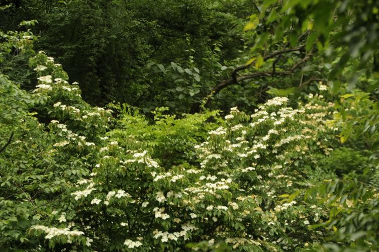 周末南阳一路自驾赏满山原始风光，5个南阳周边自驾游好去处推荐