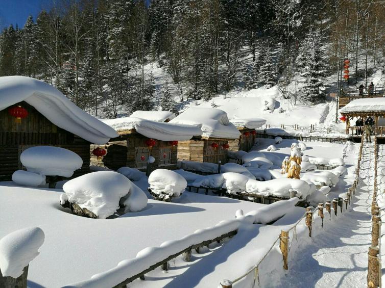 12月国内最不能错过的自驾游线路推荐，来一场说走就走的冰雪之旅吧