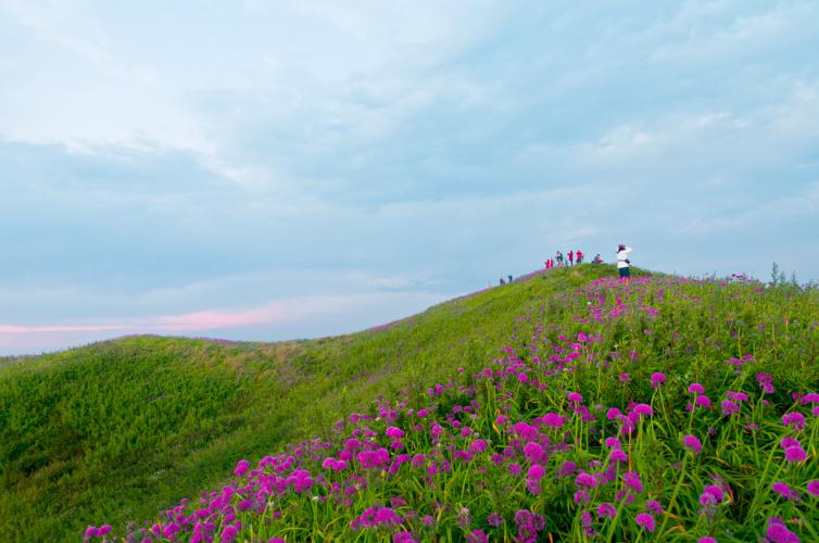 9月秋天自驾旅行地推荐，一起去感受中国美丽的秋天花开韭菜坪