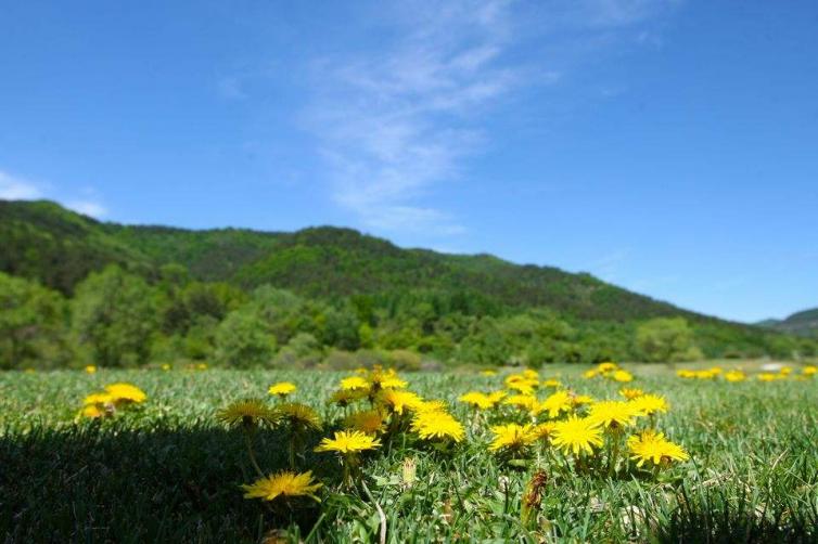 端午节山西周边自驾游去哪儿好玩，5个太原周边最适合自驾游好去处推荐