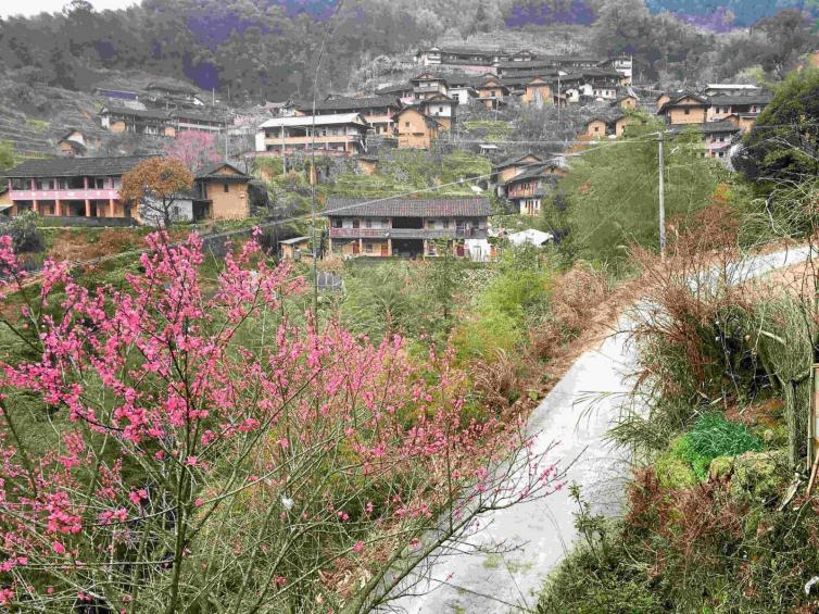 杭州自驾游去哪好玩，8条杭州出发景美/景点自驾游路线攻略推荐