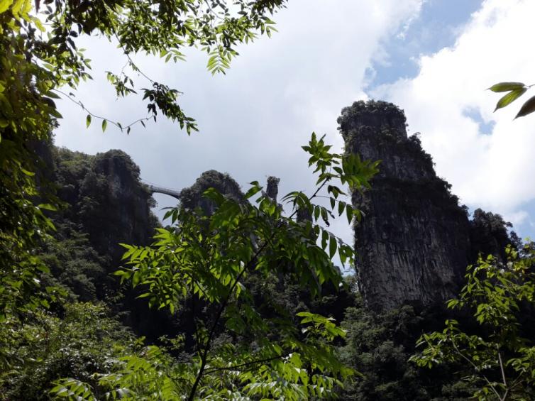 十一假期湖北周边自驾游去哪儿好玩，5个湖北周边最美秋景自驾游路线景点推荐