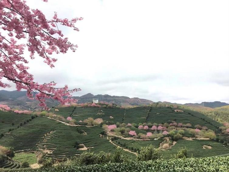 春节国内颜值最高的好去处推荐，你想看的风景统统满足你