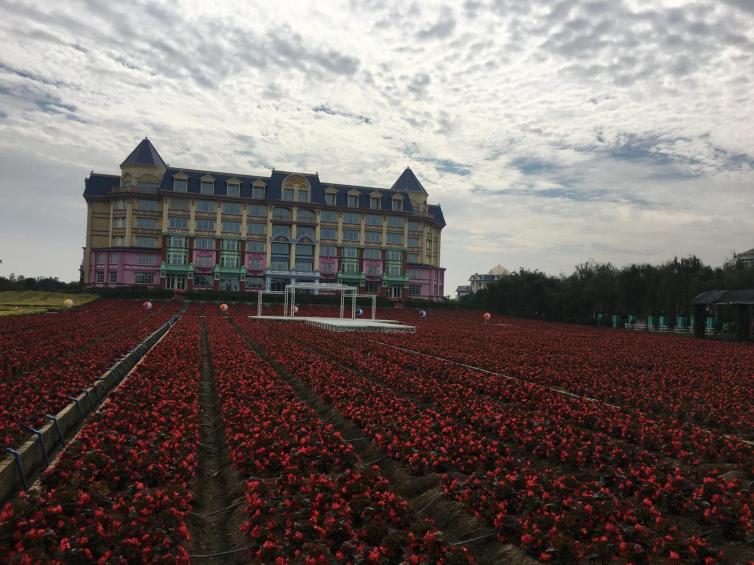 广东自驾游最佳赏花地推荐，广东热门赏花景点都在这里