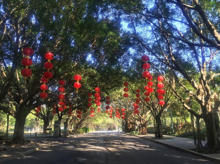 深圳自驾游免费景点推荐，6个深圳适合周末游玩的好去处推荐