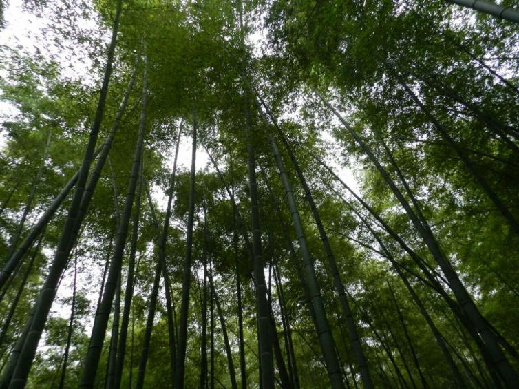 春节重庆出发自驾游去哪好玩，重庆周边自驾游最佳线路推荐