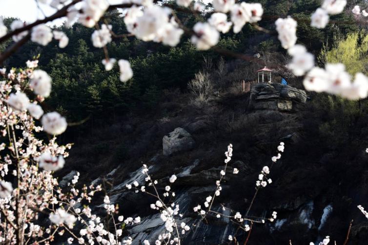 十一石家庄出发自驾游去哪里好玩，5个石家庄周边登山感受自然自驾游攻略