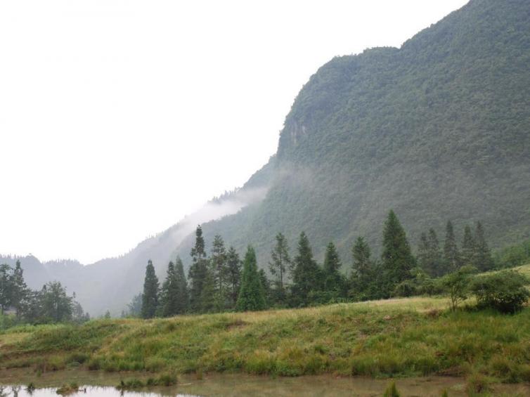 7-8月重庆周边避暑自驾游去哪里好，6个森林深处的小众自驾游景点值得一去