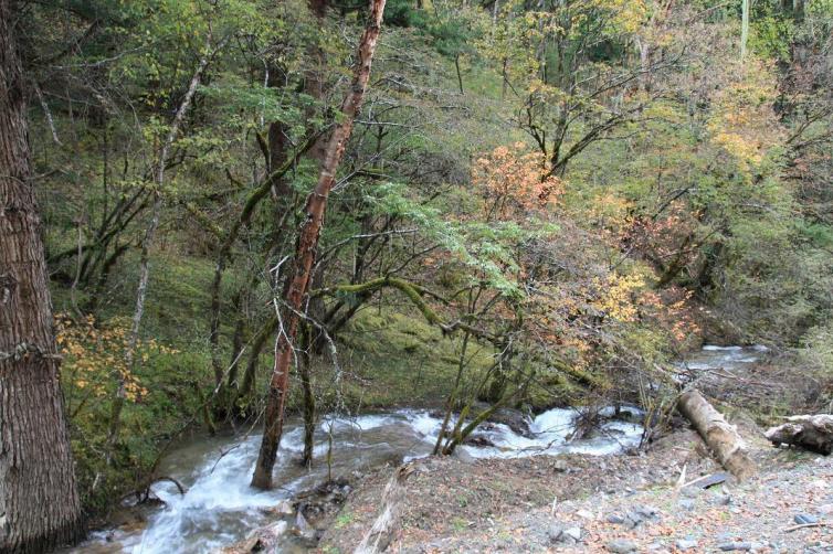 春节四川自驾游去哪好玩?赶紧带上家人来一场自驾游