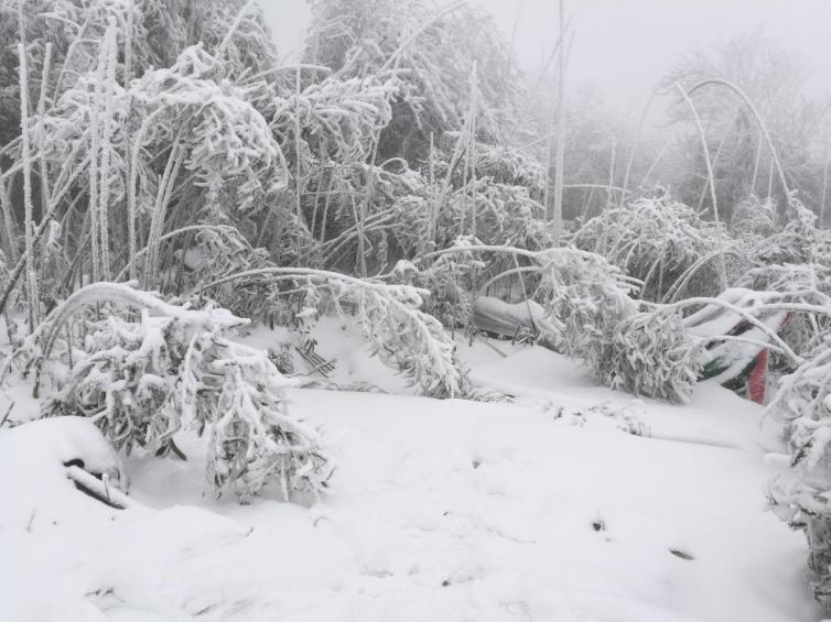 冬天重庆自驾游最受欢迎好去处推荐，重庆周边好玩的滑雪地都在这里