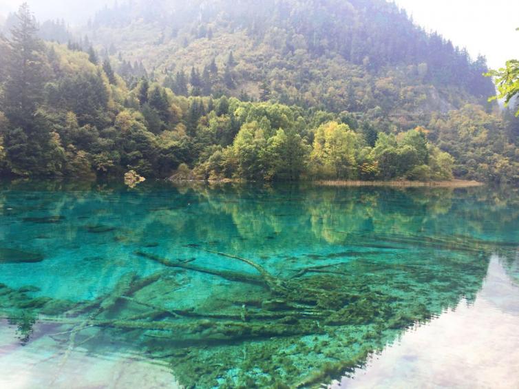 秋天重庆周边自驾游赏景胜地推荐，不会让你失望的自驾游美景