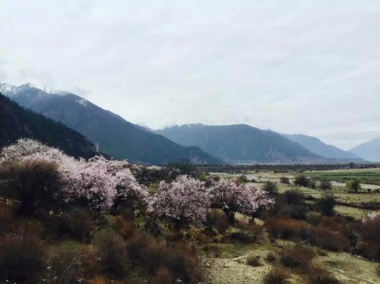 5月国内最适合自驾游目的地推荐，阳光温热夏至未至