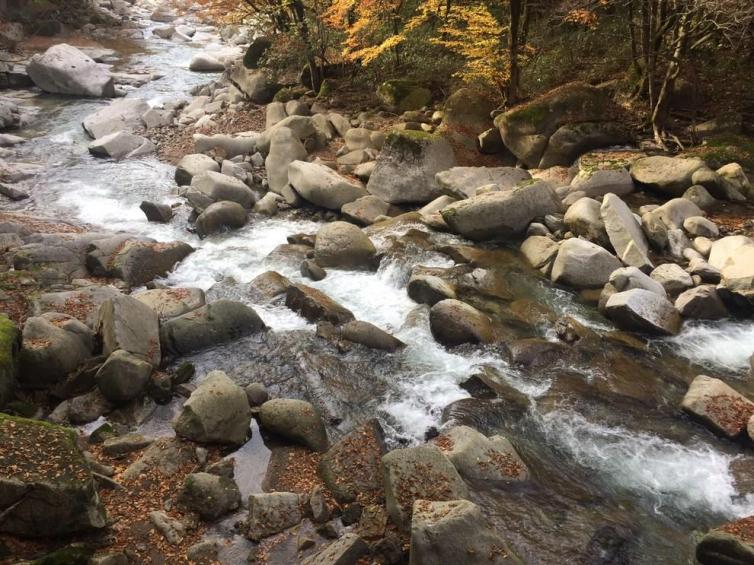 巴中光雾山红叶节自驾游路线大全，四川/陕西/重庆出发光雾山自驾游2-3天路线安排方案