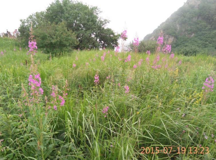 五一去河北野三坡自驾游3个必玩景点推荐，野山坡自驾游有哪些好玩的