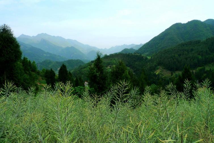 陕西周边自驾游最佳景点推荐，陕西周边自驾游特色美食介绍