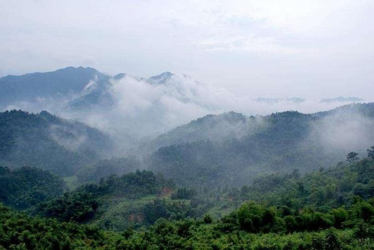 周六临湘周边自驾游去哪里好玩，冬季4个临湘自驾游可爱景点攻略推荐