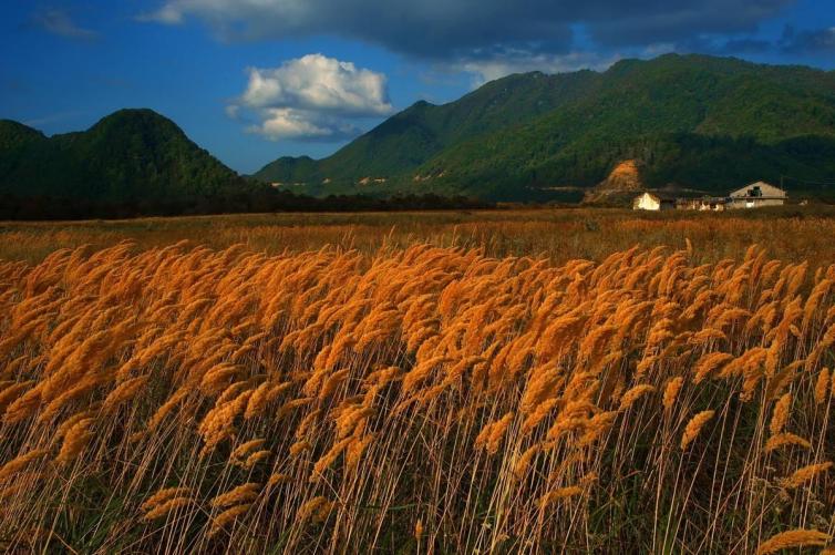 周末湖北周边自驾游去哪里好玩，4个湖北自驾游特色景点攻略推荐