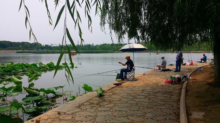 风景绝佳的济南自驾游好去处推荐，冬天济南自驾游不容错过的好风景