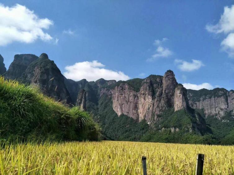 秋天江浙沪必去自驾游景点推荐，秋天最美的风景都在这里