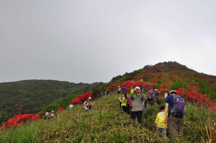 14个深圳周边亲子自驾游露营好去处推荐，深圳亲子自驾游去哪里好？