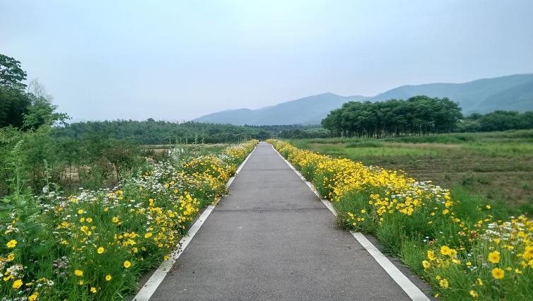 五一南京周边自驾游好去处，南京出发周边自驾游路线推荐