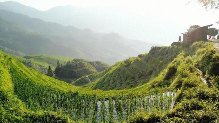 凤凰出发至桂林龙脊梯田自驾游游玩攻略，住山顶看日出感受自然之美