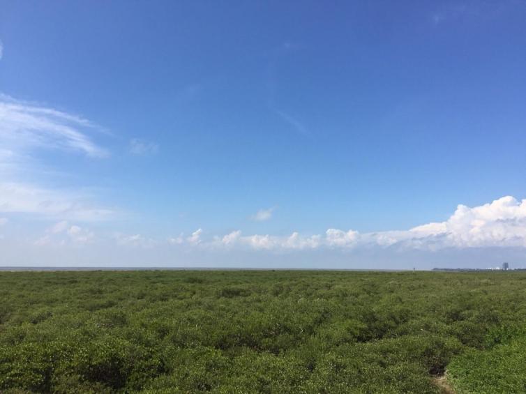 周末北海自驾游不容错过的景点推荐，6个北海人少好玩的自驾游好去处