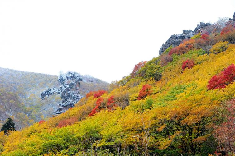 冬天北京周边自驾游去哪玩？6条北京出发短途自驾线路推荐