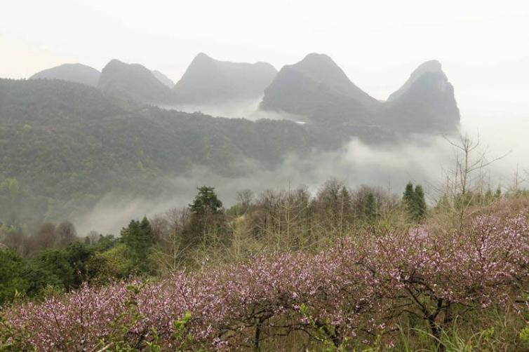 阳春三月广西灵川自驾游去哪里好玩，灵川出发3日自驾游好去处景点推荐