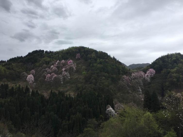 成都周边自驾游小众景点线路推荐，这些景美人少的好去处值得一游