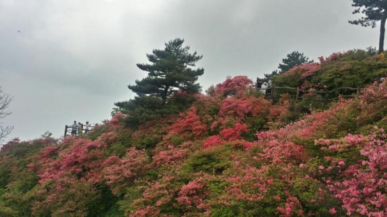 四月份自驾游颜值最高的景点推荐，四月国内这些好去处不能错过