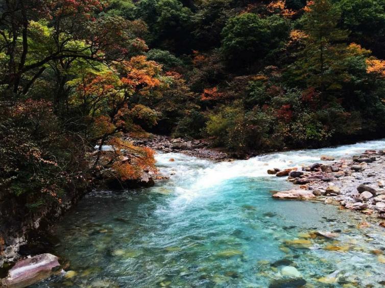 金秋四川省内自驾游去哪里好玩，8个必去最美赏秋自驾游景点路线攻略推荐