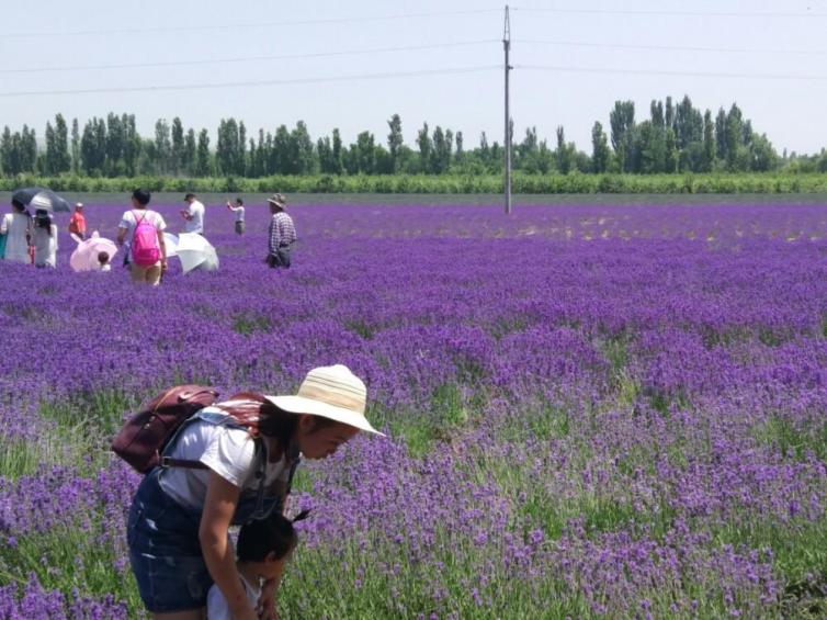 六月国内最美自驾游路线推荐，夏天国内自驾游最受欢迎好去处攻略