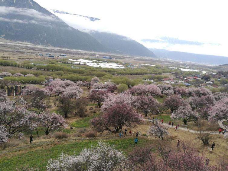 3月国内自驾游最受欢迎的出游地推荐，来和春天来一场约会